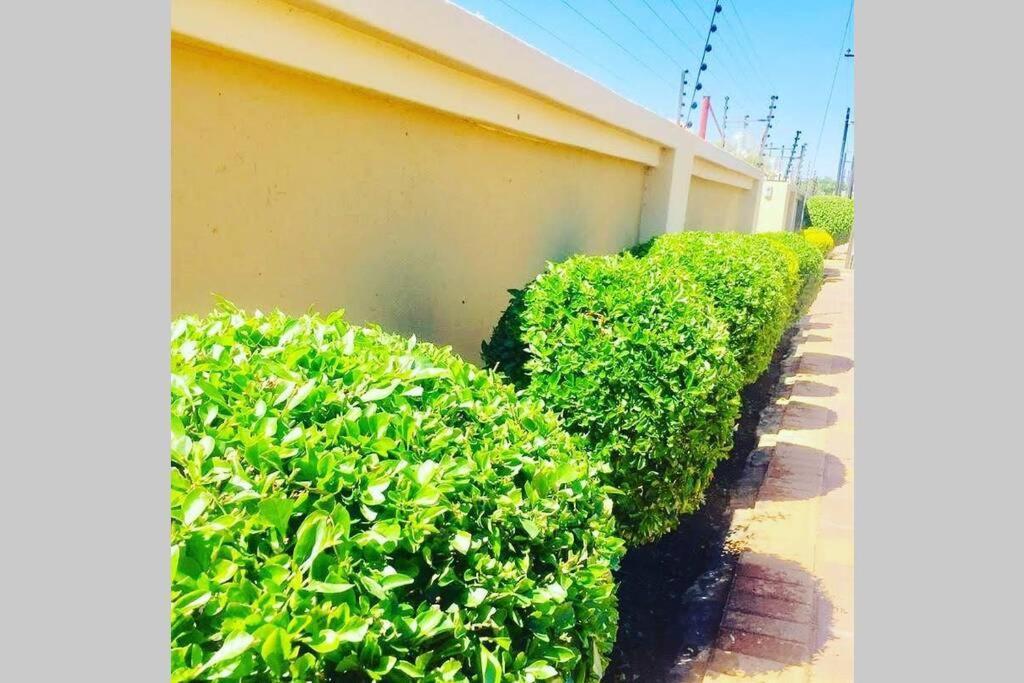 Olive Exclusive Villa Gaborone Exterior foto